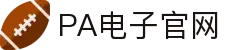 PA电子|PA电子官网「PA试玩游戏」官方平台网站